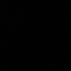 Meet your Posher, Brady